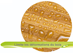 limite deformation bois