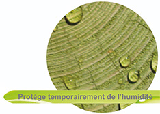 protege de humidite